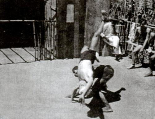 Roça do Lobo - Apanhada de Cavalete